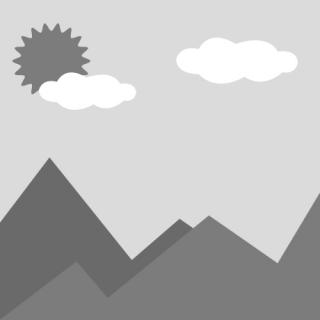 40-80滌綸長(cháng)絲-滌綸長(cháng)絲森(sēn)林(lín)高(gāo)壓消防水(shuǐ)帶（委托檢驗）